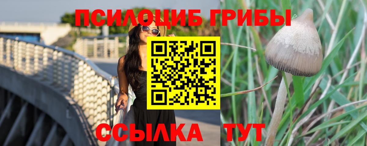 Галлюциногенные грибы мицелий  Галлюциногенные грибы прущие грибы  Вход с VPN  Десногорск 
