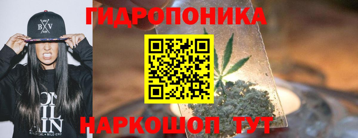 Бошки марихуана OG Kush  МАРИХУАНА сатива  Шишки марихуана тримм  Каннабис Bruce Banner  Десногорск  Вход с VPN 